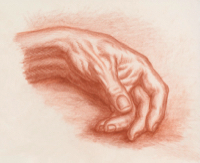 Human Hand 19 - Version 2